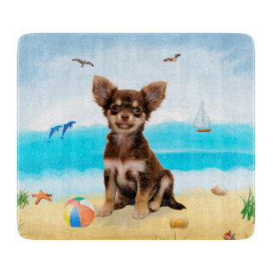 Chihuahua Hund på Beach