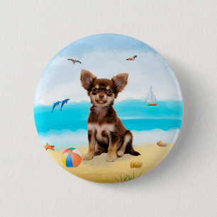 Chihuahua Hund på Beach Knapp