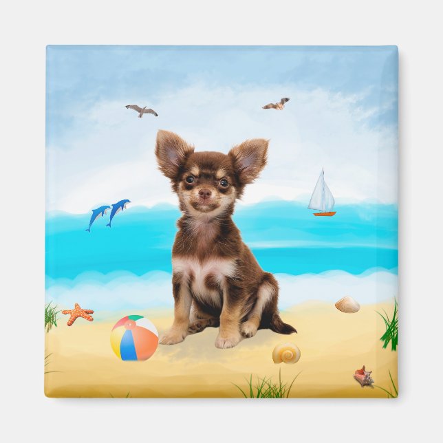 Chihuahua Hund på Beach Magnet (Framsidan)