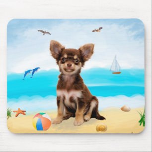 Chihuahua Hund på Beach Musmatta