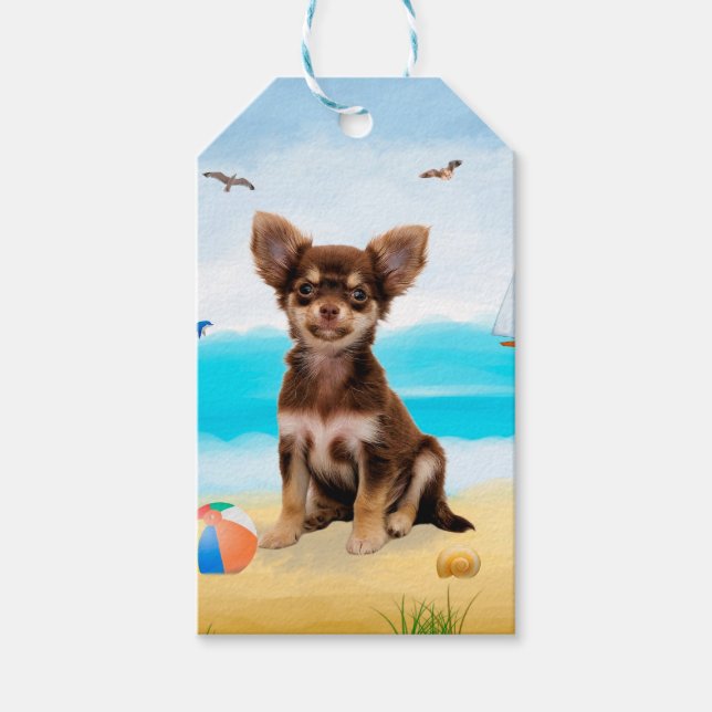 Chihuahua Hund på Beach Presentetikett (Framsidan)