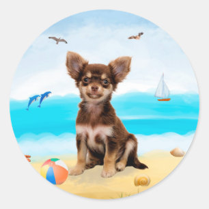 Chihuahua hund på stranden runt klistermärke