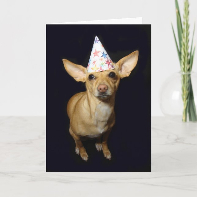 Chihuahua Hund Part Hat Birthday Greeting Card Kort (Framsida)