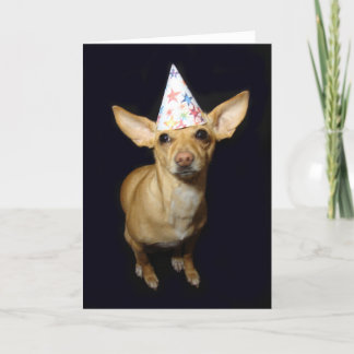 Chihuahua Hund Part Hat Birthday Greeting Card Kort