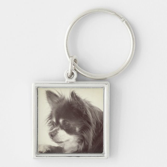 Chihuahua Hund Porträtt Fyrkantig Silverfärgad Nyckelring (Framsidan)