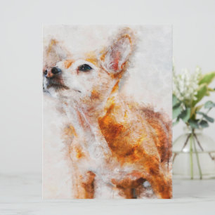 Chihuahua Hund Porträtt_Hund älskare