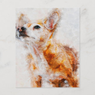 Chihuahua Hund Porträtt_Hund älskare Flygblad
