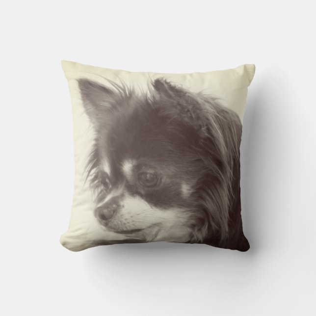 Chihuahua Hund Porträtt Kudde (Framsida)