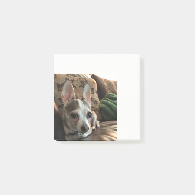 Chihuahua Hund Post it Notes Post-it Block (Framsida)
