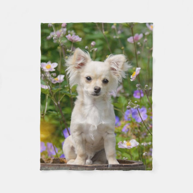 Chihuahua Hund Puppy Photo - Comfy Fleecefilt (Framsidan)