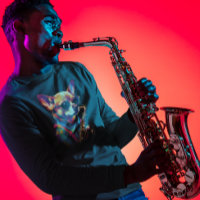 Chihuahua Hund som spelar saxofon