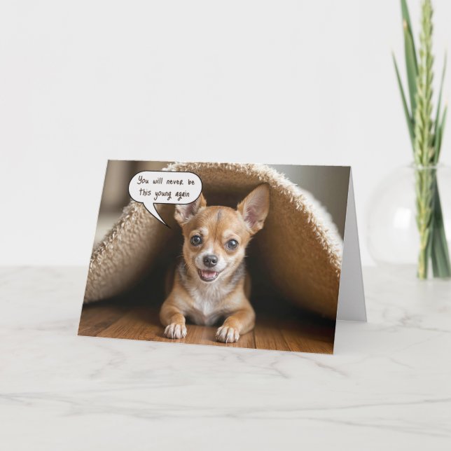 Chihuahua-Hund Under Matta Kort (Framsida)
