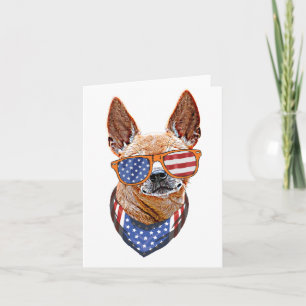 Chihuahua Hund USA American Independence 4 juli Kort