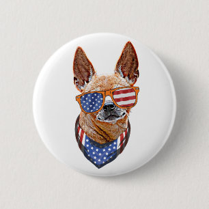 Chihuahua Hund USA Amerikansk Självständighet 4 ju Knapp