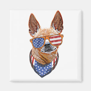 Chihuahua Hund USA Amerikansk Självständighet 4 ju Magnet