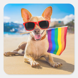 Chihuahua-Hund vid Beach Fyrkantigt Klistermärke