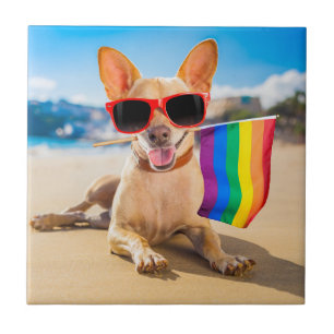 Chihuahua-Hund vid Beach Kakelplatta