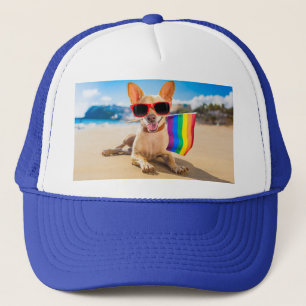 Chihuahua-Hund vid Beach Keps