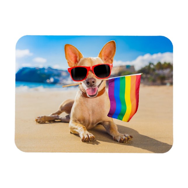 Chihuahua-Hund vid Beach Magnet (Horisontell)