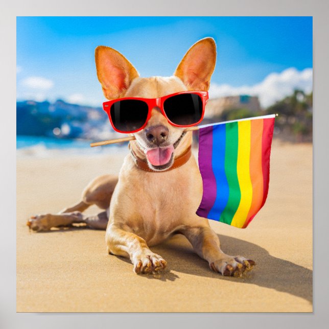 Chihuahua-Hund vid Beach Poster (Framsidan)