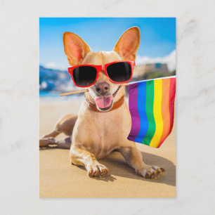 Chihuahua-Hund vid Beach Vykort