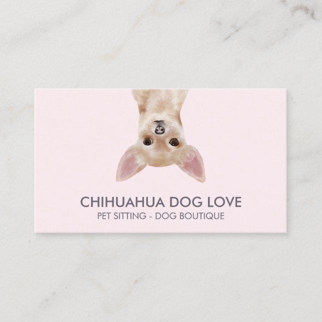 Chihuahua Hund Visitkort (Framsida)