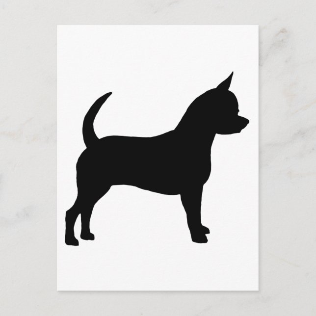 Chihuahua Hund Vykort (Framsida)