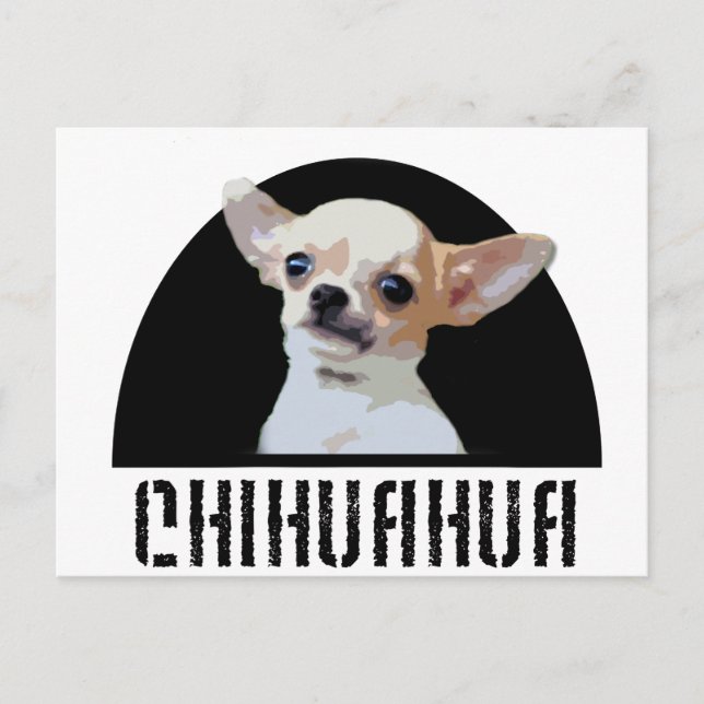 Chihuahua Hund Vykort (Framsida)