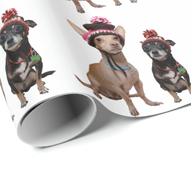 Chihuahua hundar på hattar presentpapper (Rullad Hörn)