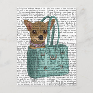 Chihuahua i bag vykort