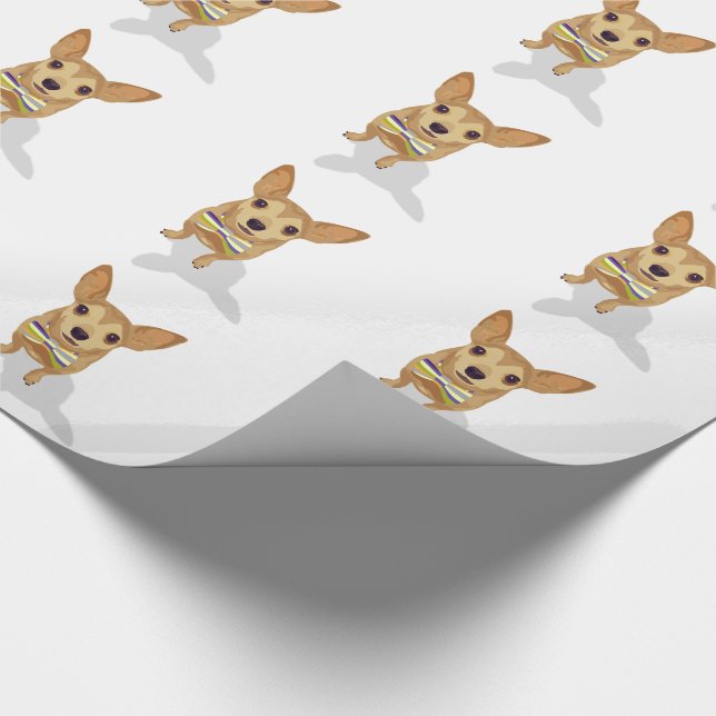 Chihuahua i en skål på vit bakgrund presentpapper (Hörn)