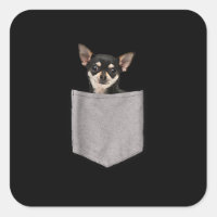 chihuahua i fickgåvor av chihuahua älskare