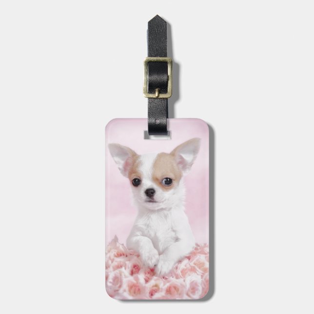 Chihuahua i rosa med ro bagagebricka (Vertikal Framsida)