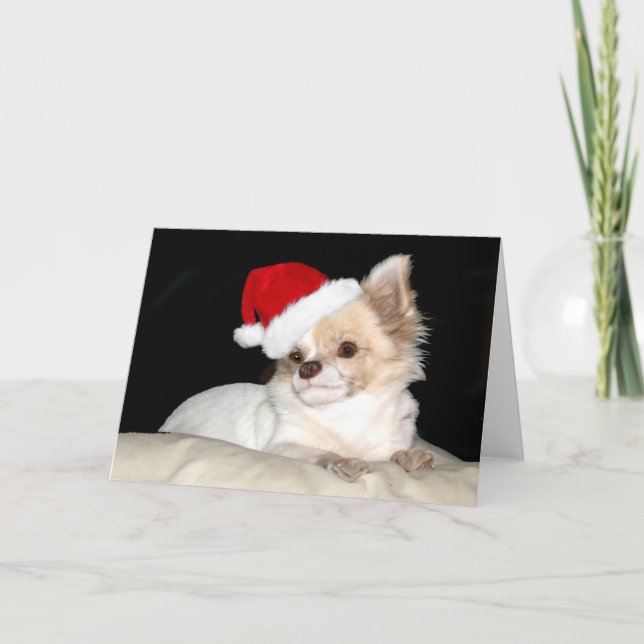Chihuahua i Santa Hat Helgkort (Framsida)