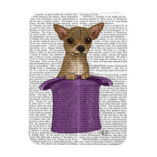 Chihuahua i Top hat Magnet