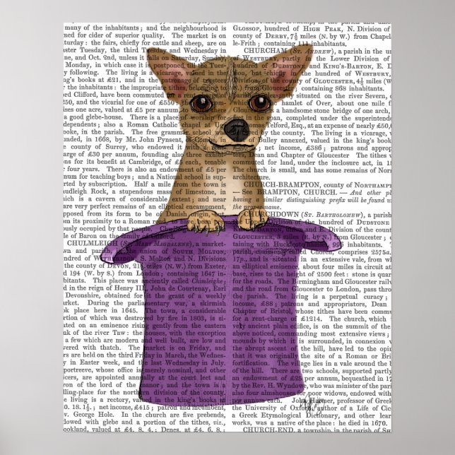 Chihuahua i Top hat Poster (Framsidan)