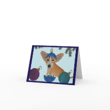 Chihuahua i trasig julgranskula