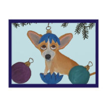 Chihuahua i trasig julgranskula