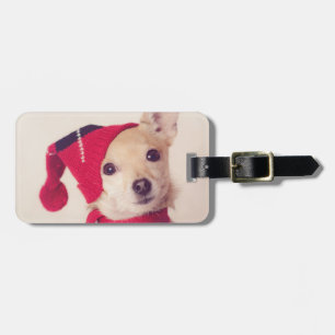 Chihuahua i vinterlock bagagebricka