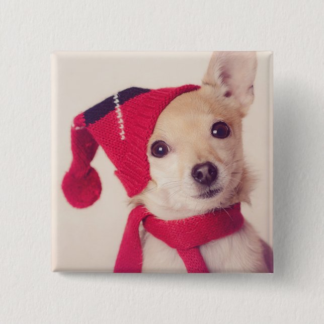 Chihuahua i vinterlock knapp (Framsida)
