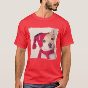 Chihuahua i vinterlock tröja