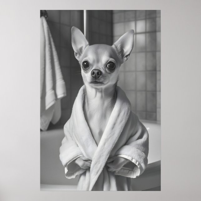Chihuahua in Bathrobe Art Print, Funny Bathroom Poster (Framsidan)