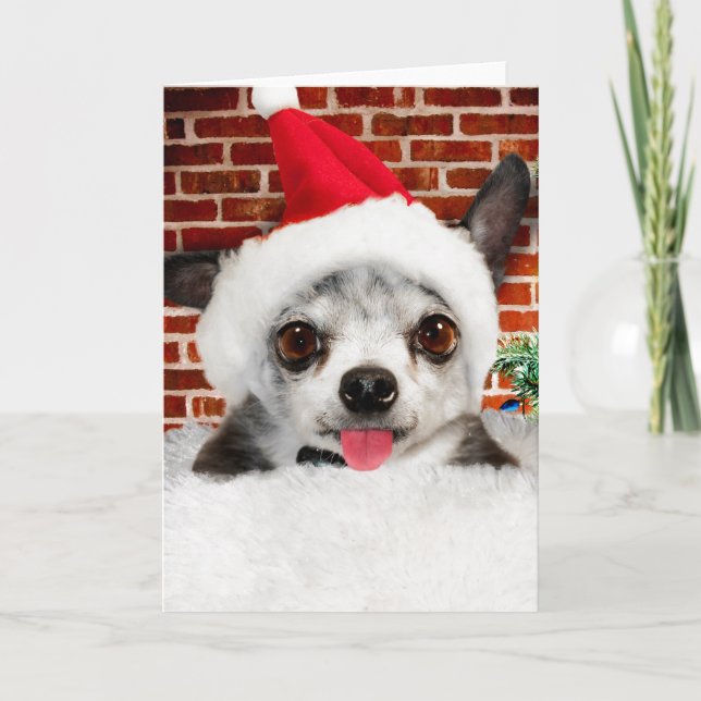 CHIHUAHUA IN Santa Greeting Card Kort (Framsida)