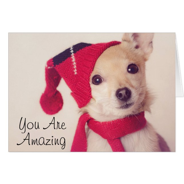 Chihuahua in Winter Cap Hälsningskort (Framsidan Horizontal)