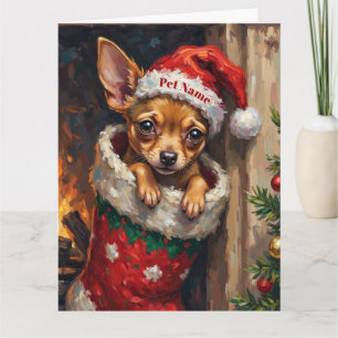 Chihuahua inklämd i julstrumpa mössa kort