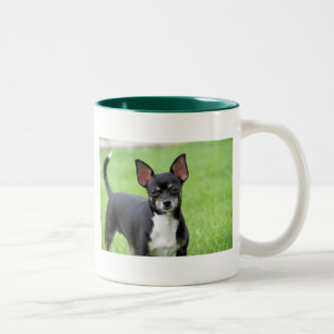 Chihuahua Isabella -13 Två-Tonad Mugg