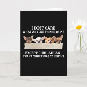 Chihuahua Jag Bryr Mig Inte Om Vad Någon Annan Tyc Kort