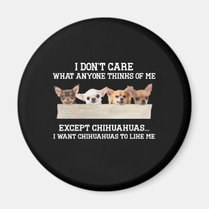 Chihuahua, jag bryr mig inte om vad nån tycker om magnet