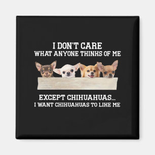 Chihuahua, jag bryr mig inte om vad nån tycker om magnet