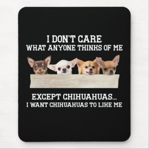 Chihuahua, jag bryr mig inte om vad nån tycker om musmatta